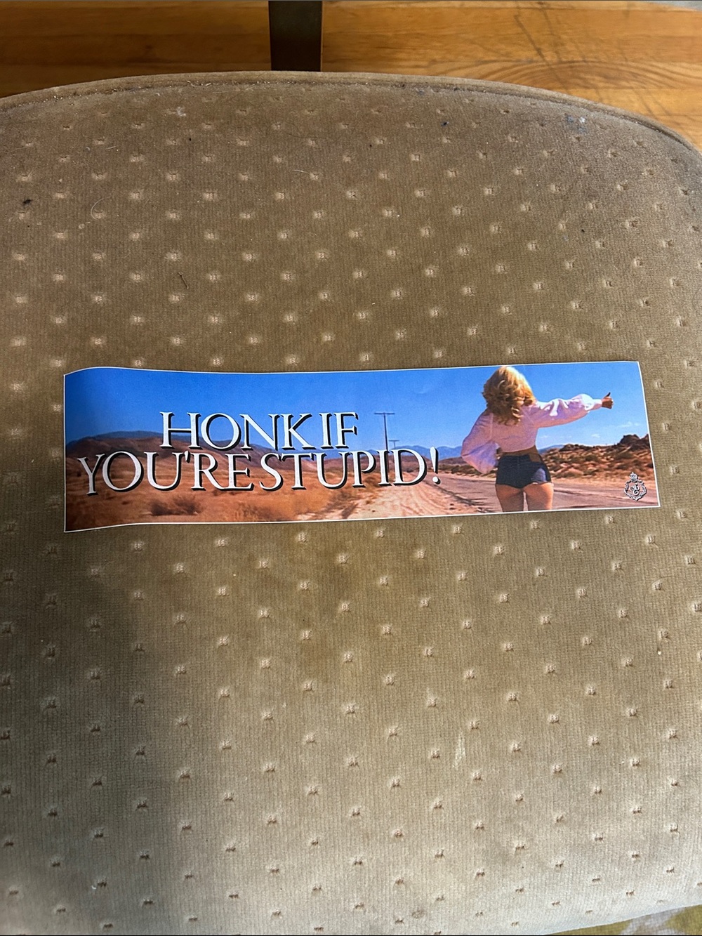 Honk If You're Stupid! Sabrina Carpenter Manchild Album